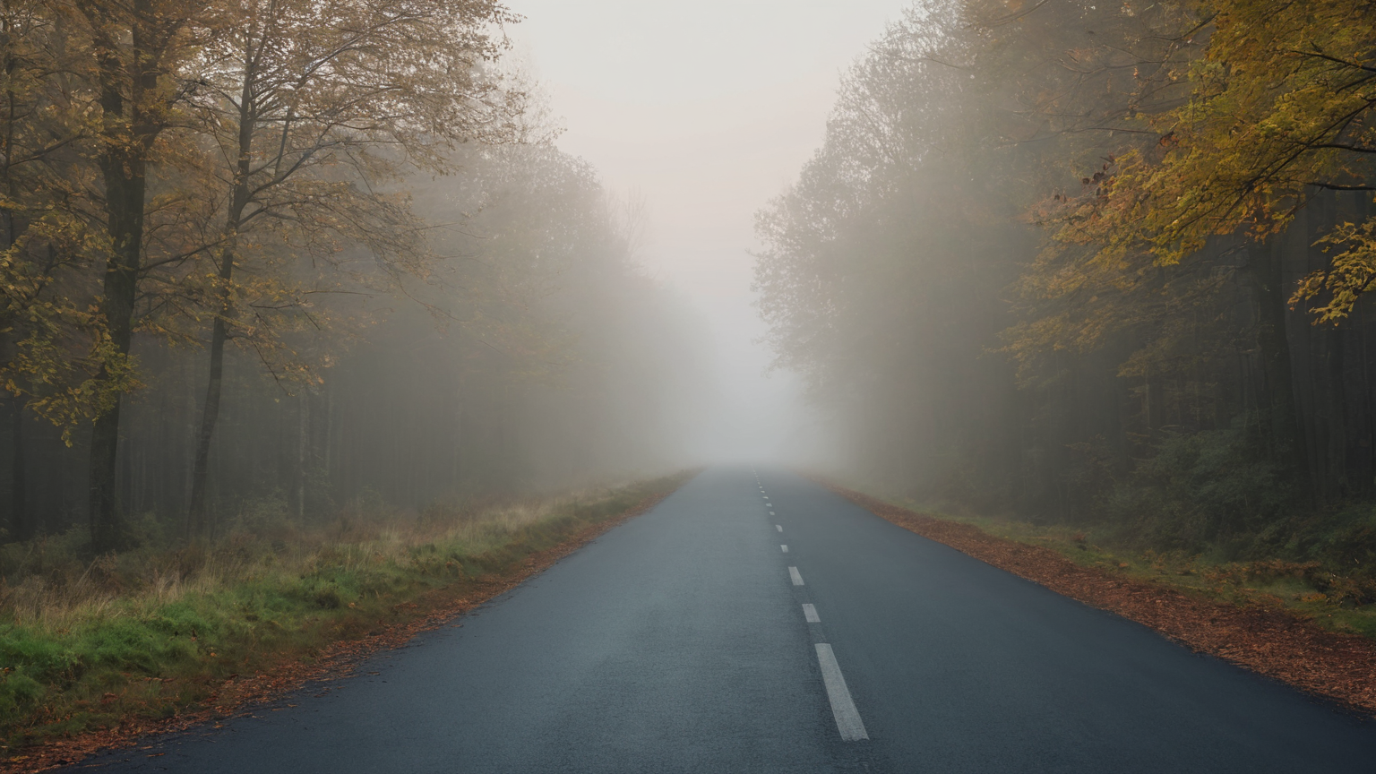 An empty two-lane rural road with wide shoulders in early morning light